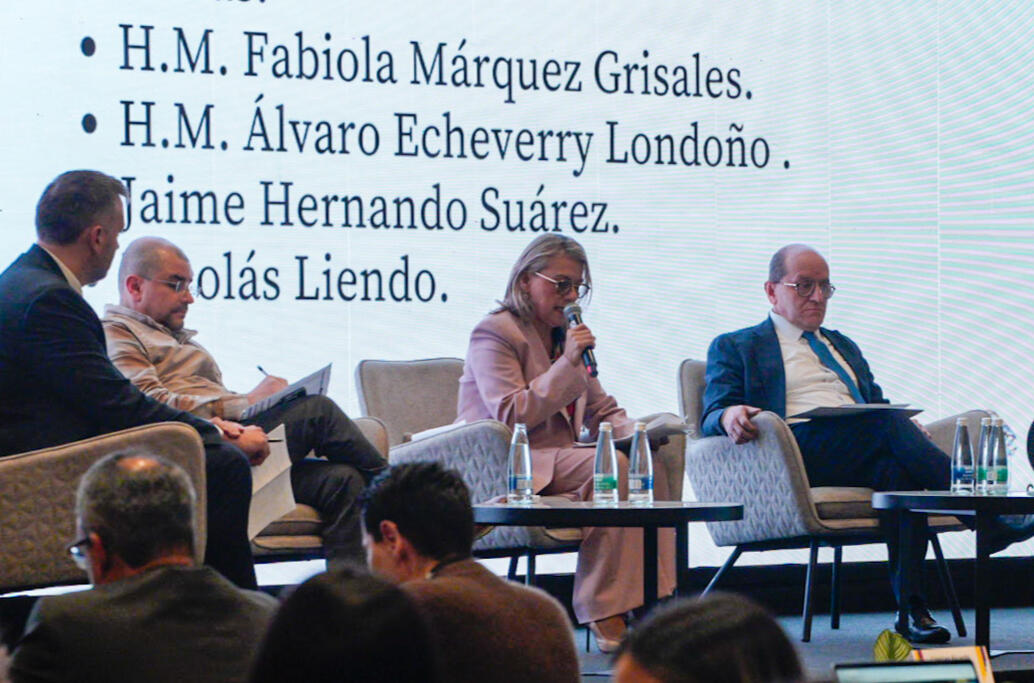 Panel Ciberseguridad Electoral - Misión de Observación Electoral - Elecciones Congreso 2026